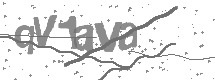 visual captcha